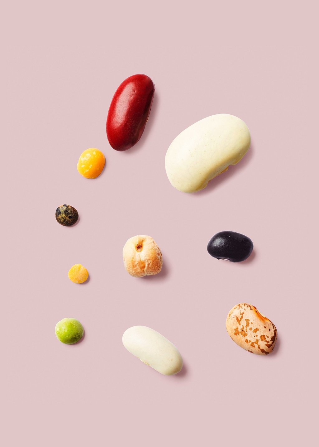 Photo of individual seeds of different legumes on a rose-colored background.