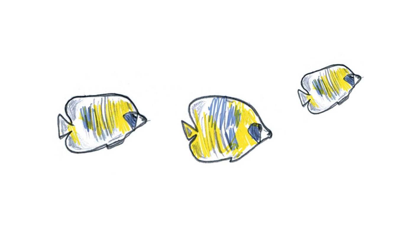 Illustration von drei Fischen, die hintereinander nach rechts schwimmen.