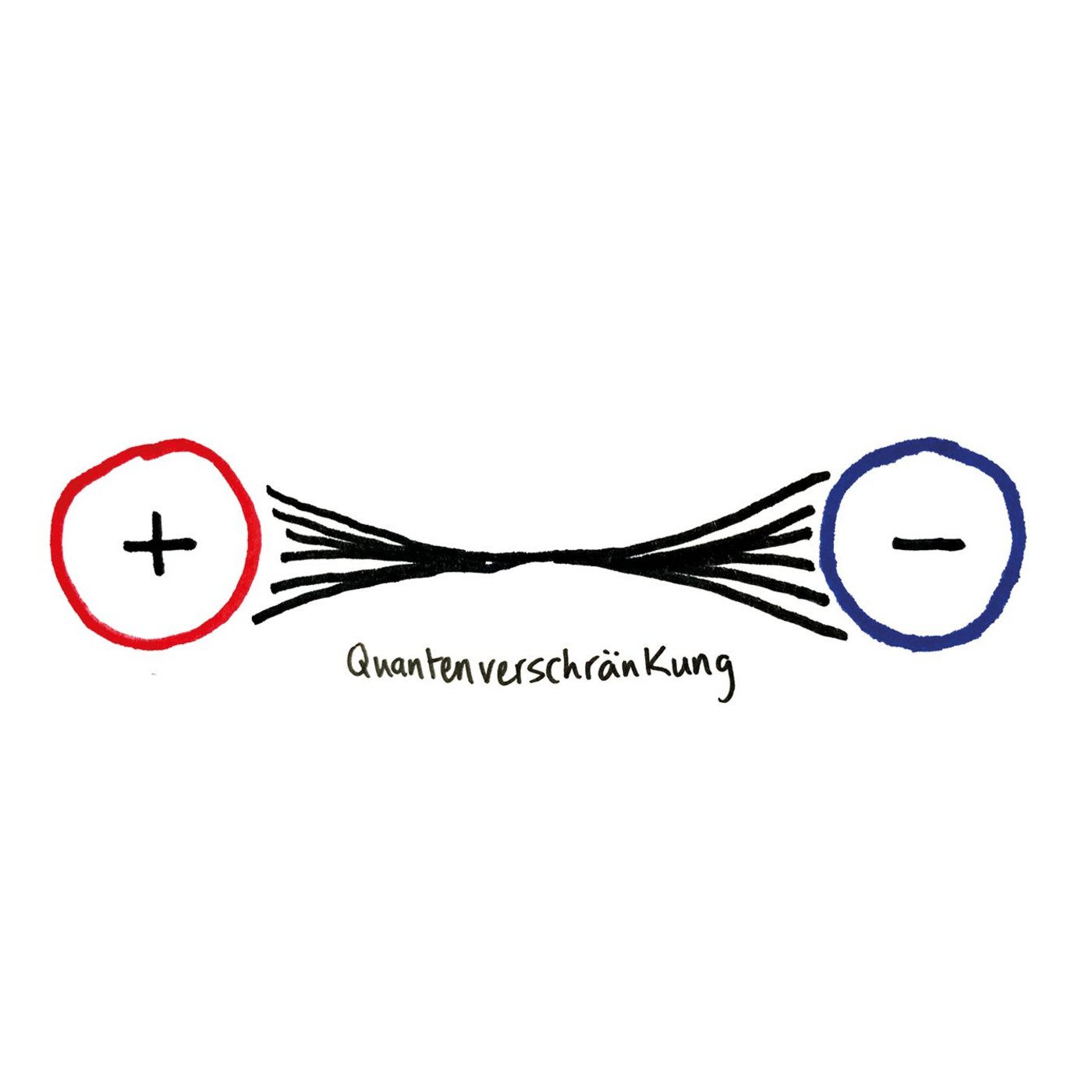 Zeichnung eines Pluspoles links und eines Minuspoles rechts. Die Pole sind durch Striche miteinander verbunden.