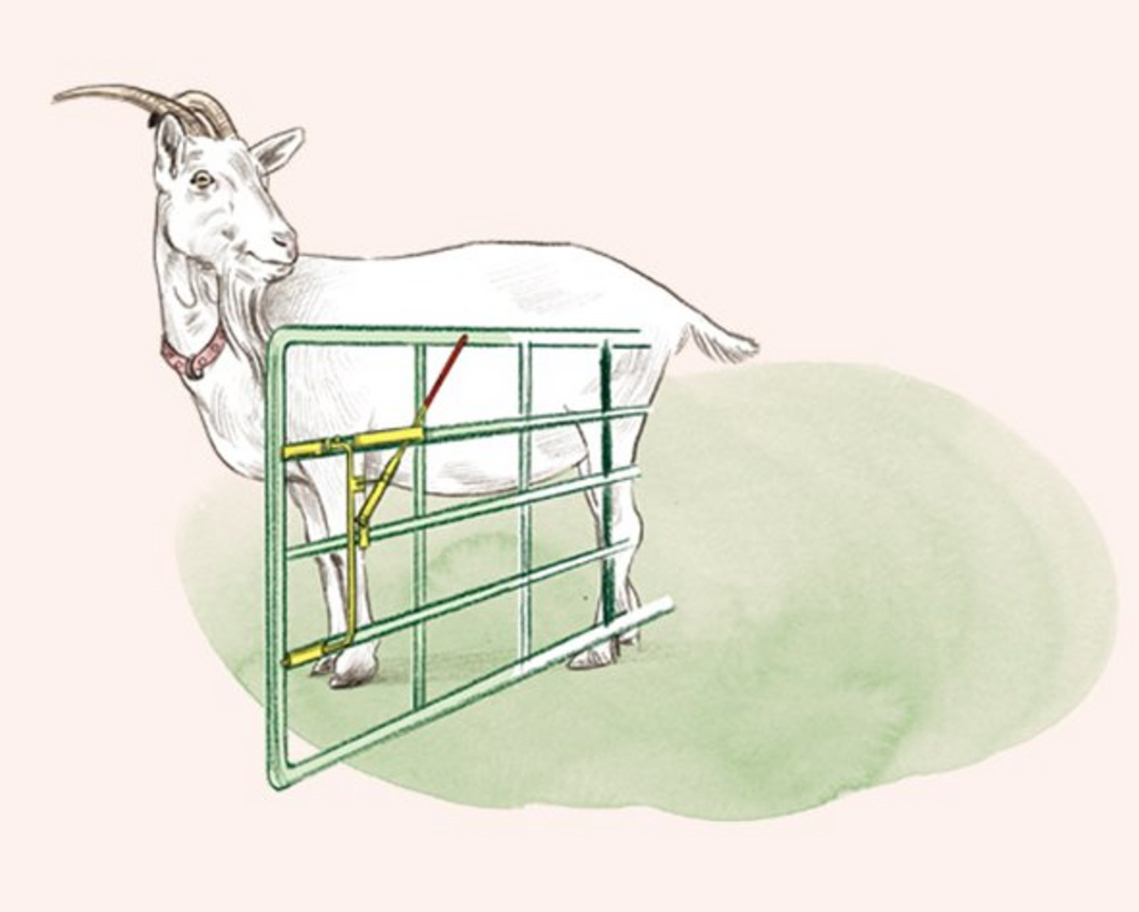 Illustration eines Ziegenbocks vor einem grünen Gatter.