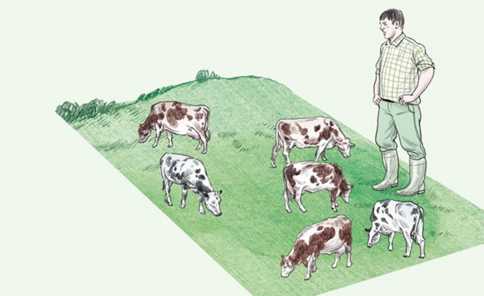 Illustration einer grünen Wiese, auf der sechs Kühe grasen. Daneben steht ein Mann in Gummistiefeln.