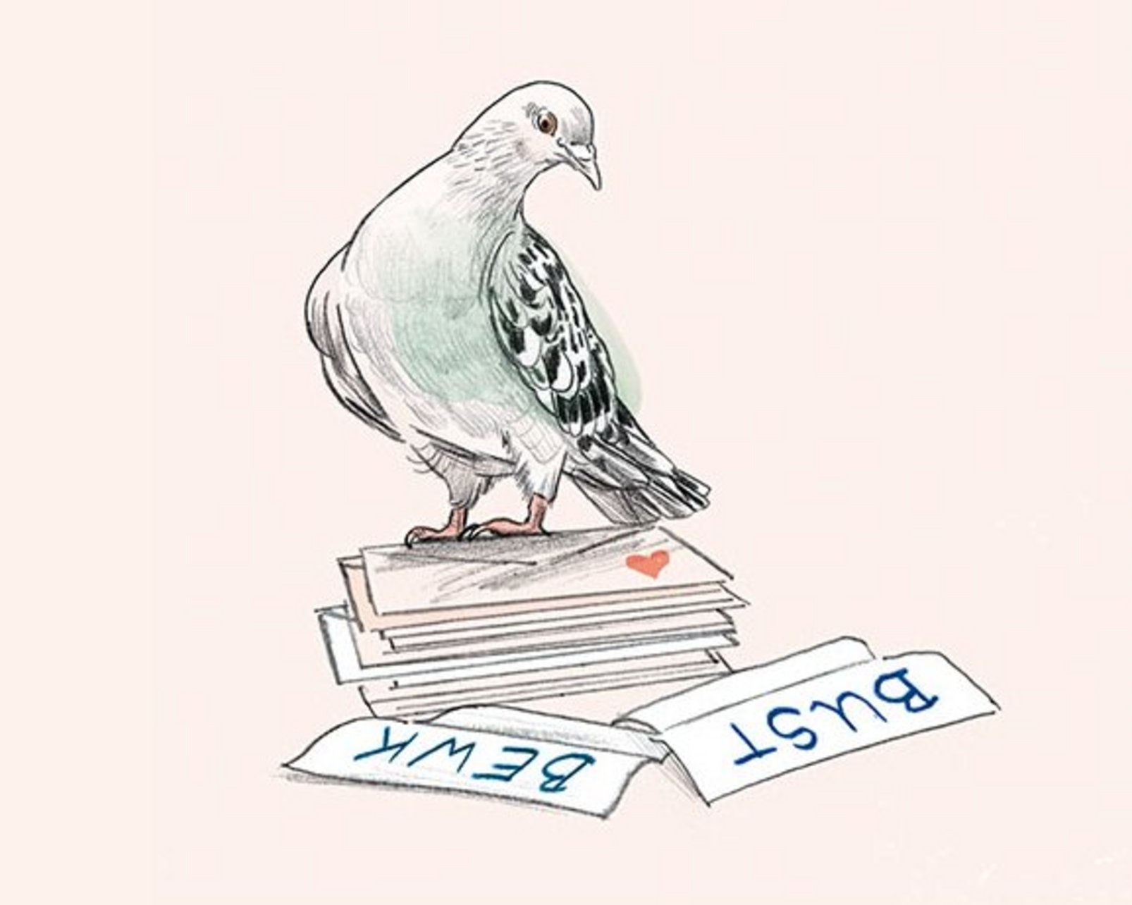 Illustration einer Taube die auf einem Stapel Briefe sitzt.